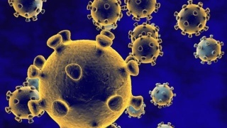 新冠疫情:31个省新增4例,其中北京一例本地新增